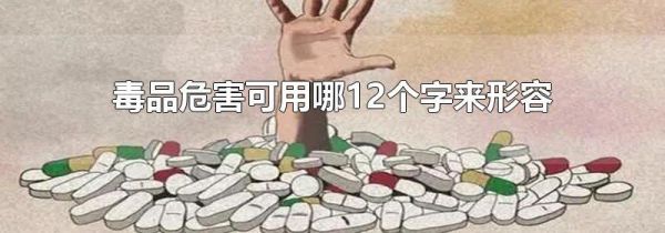 毒品危害可用哪12个字来形容