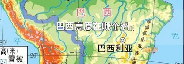 巴西高原在哪个洲