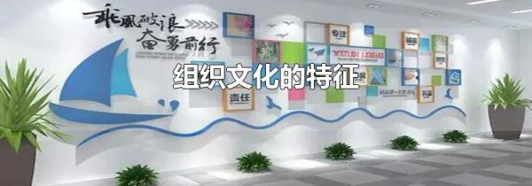 组织文化的特征