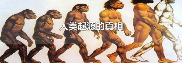 人类起源的真相