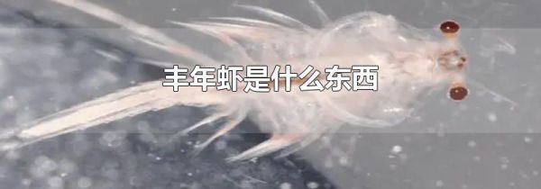 丰年虾是什么东西