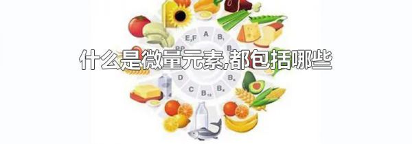 什么是微量元素,都包括哪些