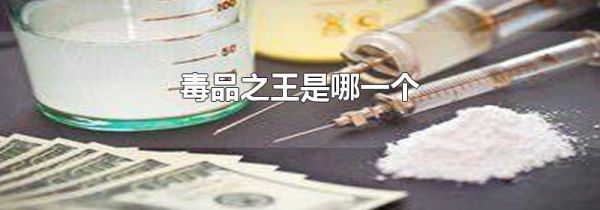 毒品之王是哪一个