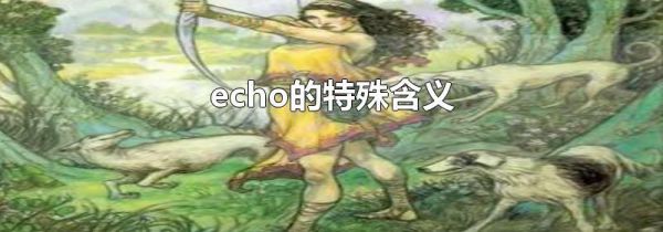 echo的特殊含义
