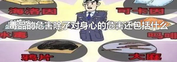 毒品的危害除了对身心的危害还包括什么