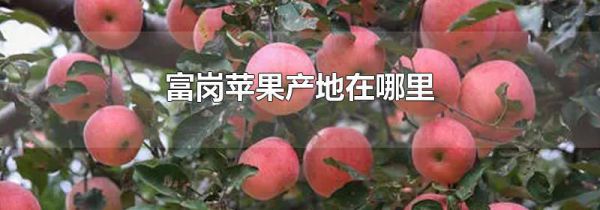 富岗苹果产地在哪里