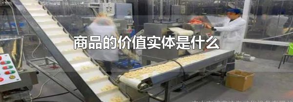 商品的价值实体是什么