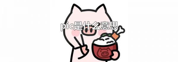 pic是什么意思