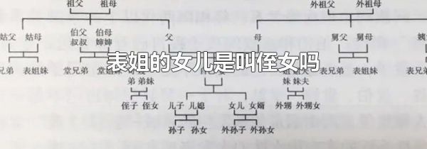 表姐的女儿是叫侄女吗