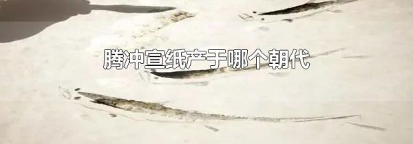 腾冲宣纸产于哪个朝代