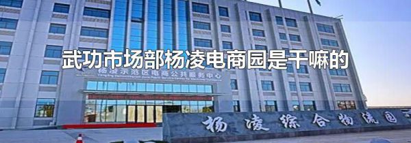 武功市场部杨凌电商园是干嘛的
