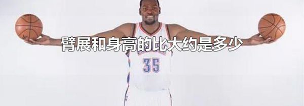 臂展和身高的比大约是多少