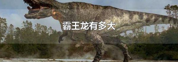 霸王龙有多大