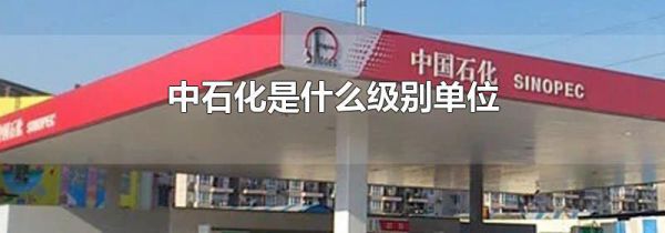 中石化是什么级别单位