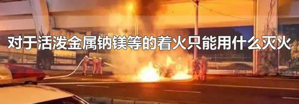 对于活泼金属钠镁等的着火只能用什么灭火