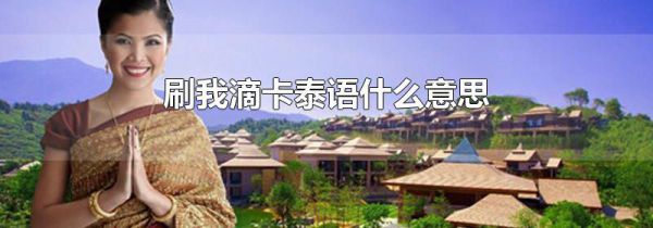 刷我滴卡泰语什么意思