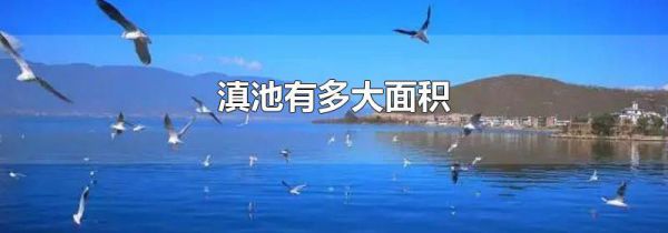 滇池有多大面积