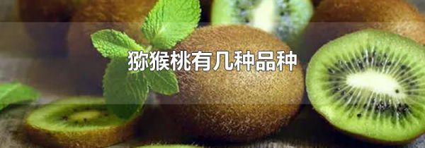 猕猴桃有几种品种