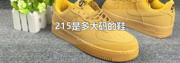 215是多大码的鞋