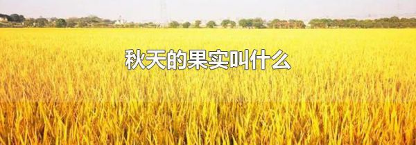 秋天的果实叫什么