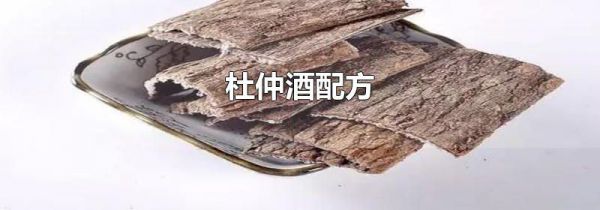 杜仲酒配方