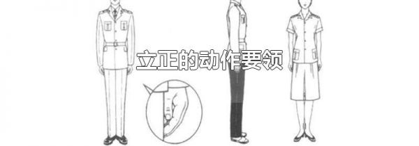 立正的动作要领