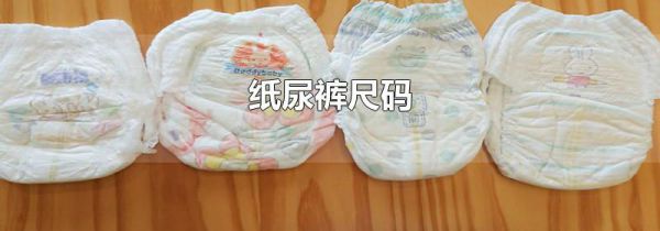 纸尿裤尺码