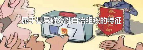 属于基层群众性自治组织的特征