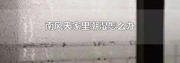 南风天家里潮湿怎么办