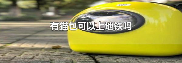 有猫包可以上地铁吗