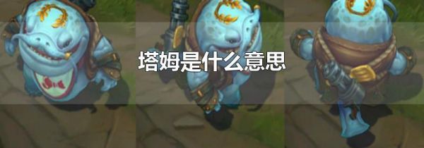 塔姆是什么意思