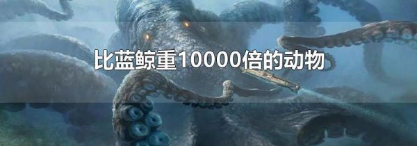 比蓝鲸重10000倍的动物
