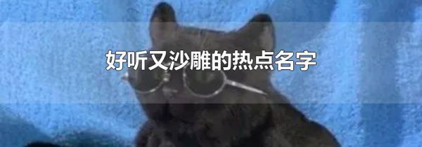 好听又沙雕的热点名字