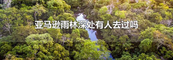 亚马逊雨林深处有人去过吗
