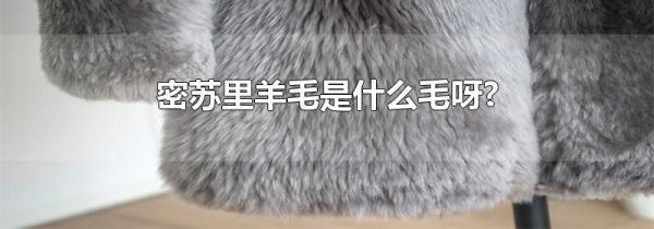 密苏里羊毛是什么毛呀?
