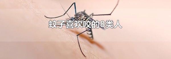 蚊子喜欢咬的8类人