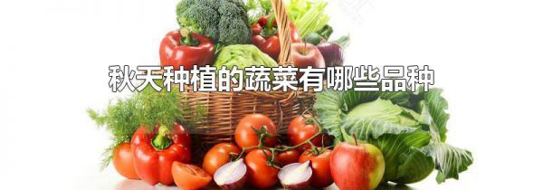 秋天种植的蔬菜有哪些品种