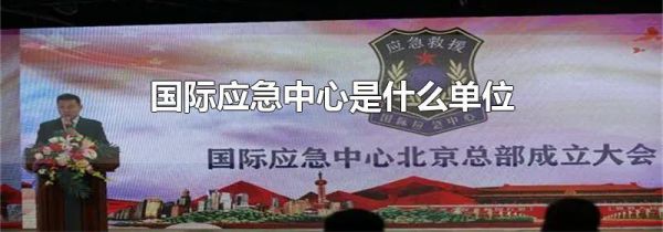 国际应急中心是什么单位