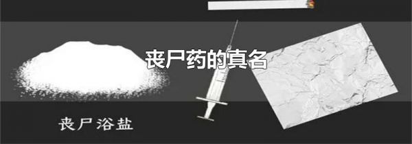 丧尸药的真名