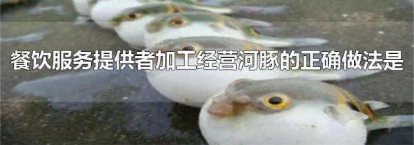 餐饮服务提供者加工经营河豚的正确做法是