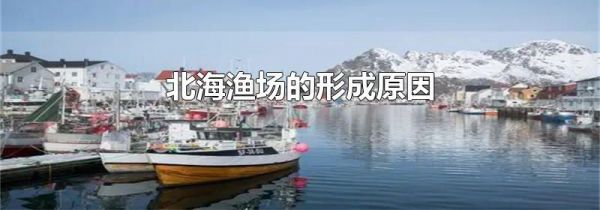 北海渔场的形成原因