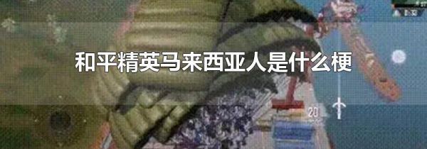 和平精英马来西亚人是什么梗