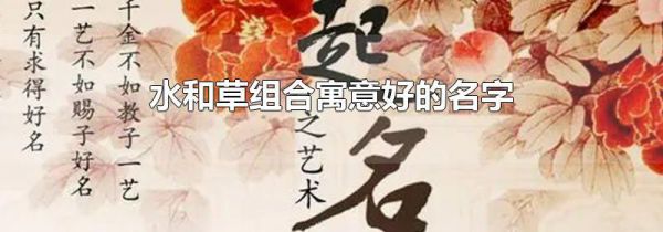 水和草组合寓意好的名字