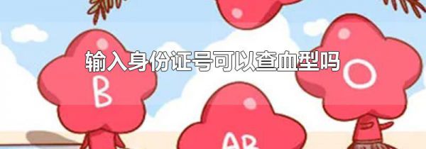 输入身份证号可以查血型吗