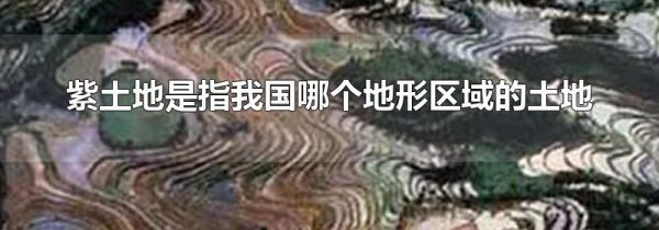 紫土地是指我国哪个地形区域的土地