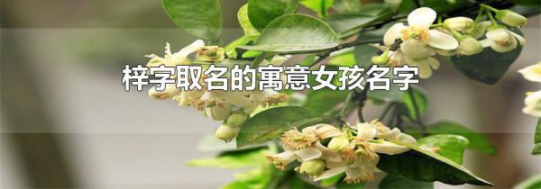 梓字取名的寓意女孩名字