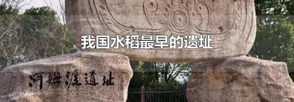 我国水稻最早的遗址