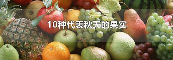 10种代表秋天的果实
