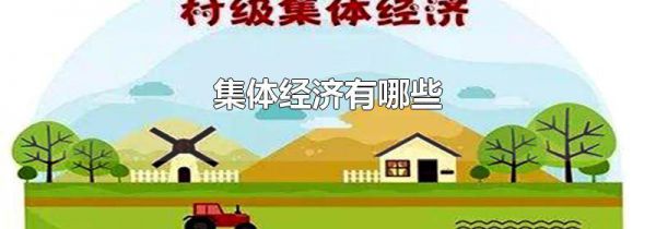 集体经济有哪些