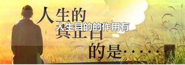 人生目的的作用有